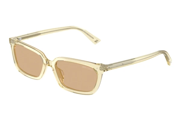 Okulary przeciwsłoneczne Jimmy Choo JC5050U 5083/8