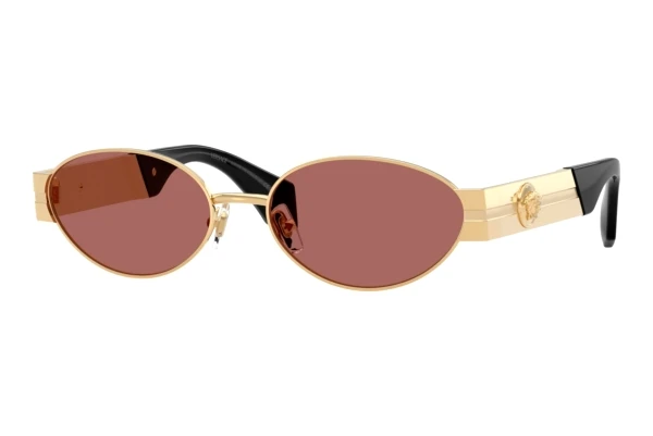 Okulary przeciwsłoneczne Versace VE2301 152369