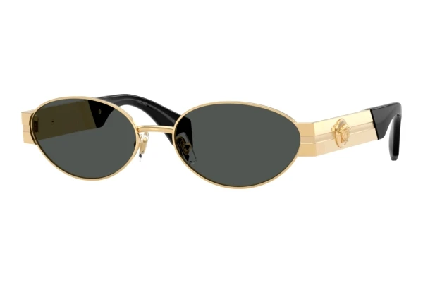 Okulary przeciwsłoneczne Versace VE2301 152387