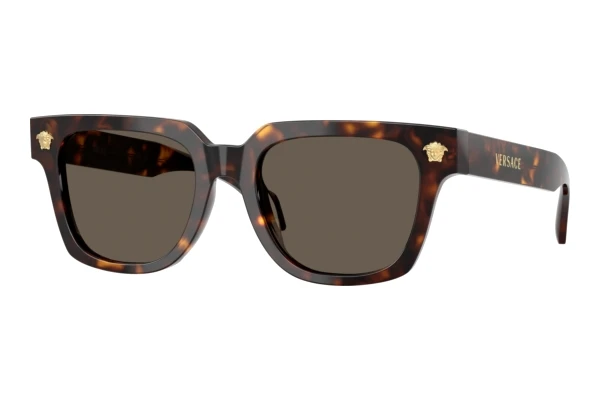 Okulary przeciwsłoneczne Versace VE4510U 108/3