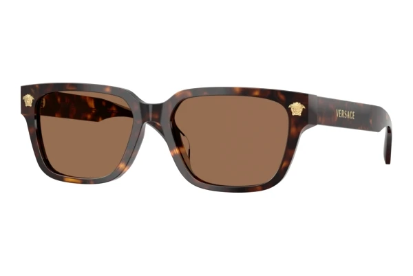 Okulary przeciwsłoneczne Versace VE4513D 108/73