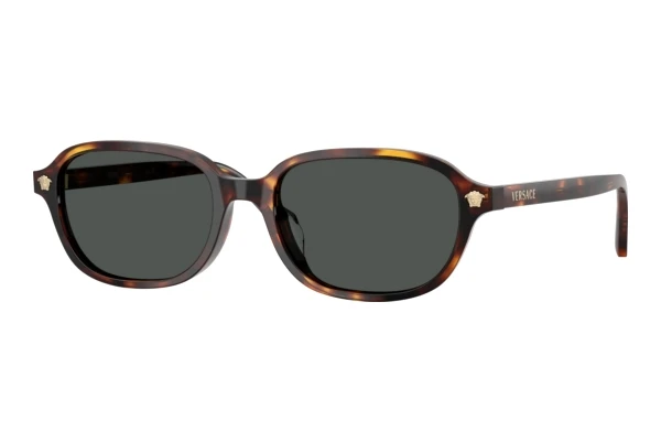 Okulary przeciwsłoneczne Versace VE4514D 553773